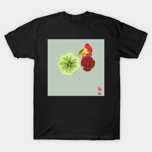 flowers in bloom 1 T-Shirt